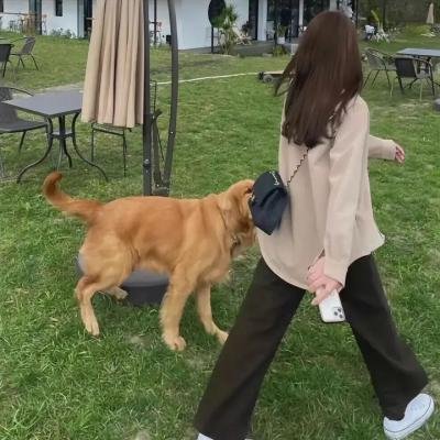 秦时明月